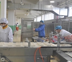 陜西綏德德漢食品廠 陜西綏德德漢食品廠